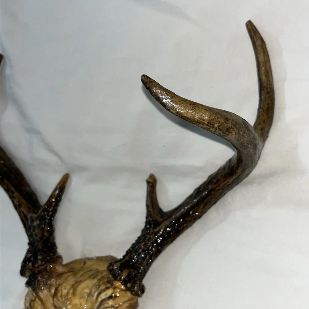 Genuine Deer Antlers Small 7 point Man Cave Decor Antler Polished‎ Hunters Skull